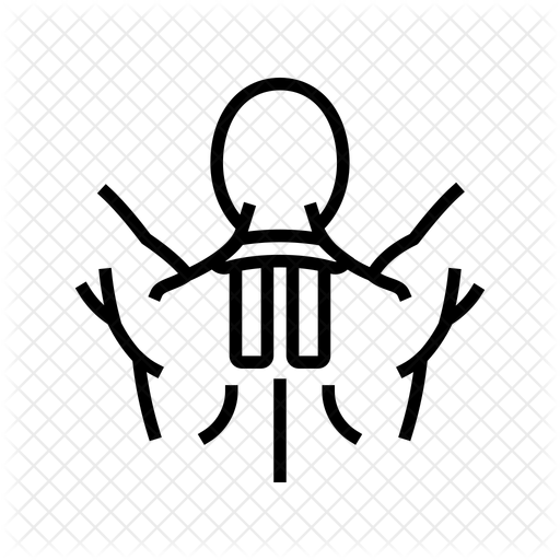 Icône Kinésiologie